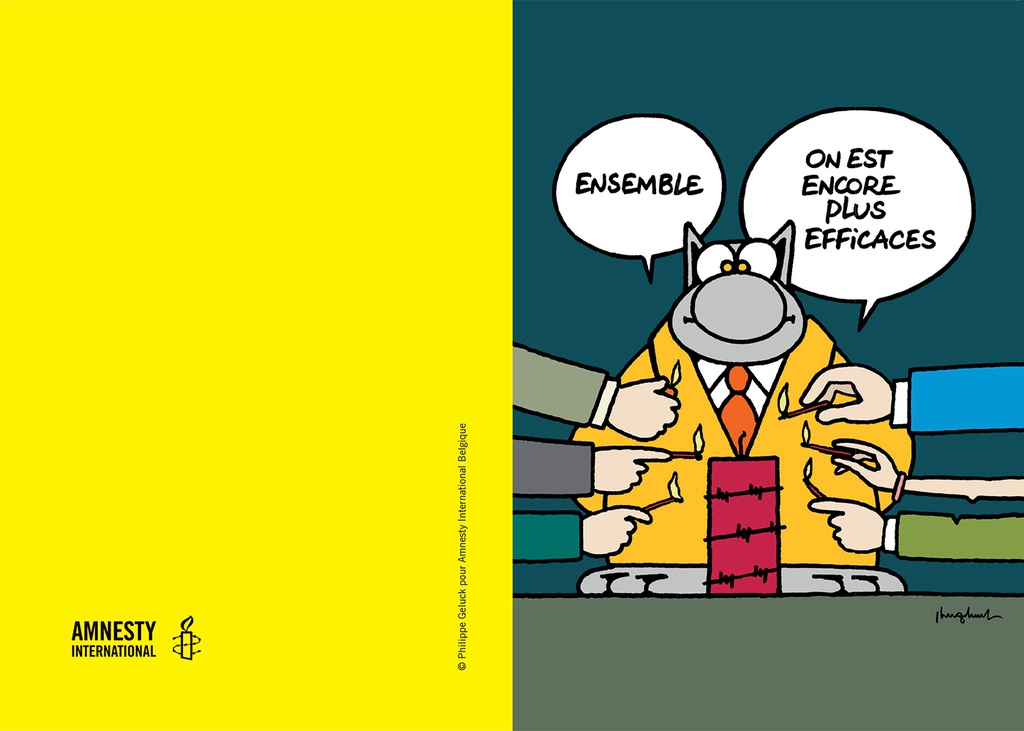 Les Cartes Du Chat Amnesty International